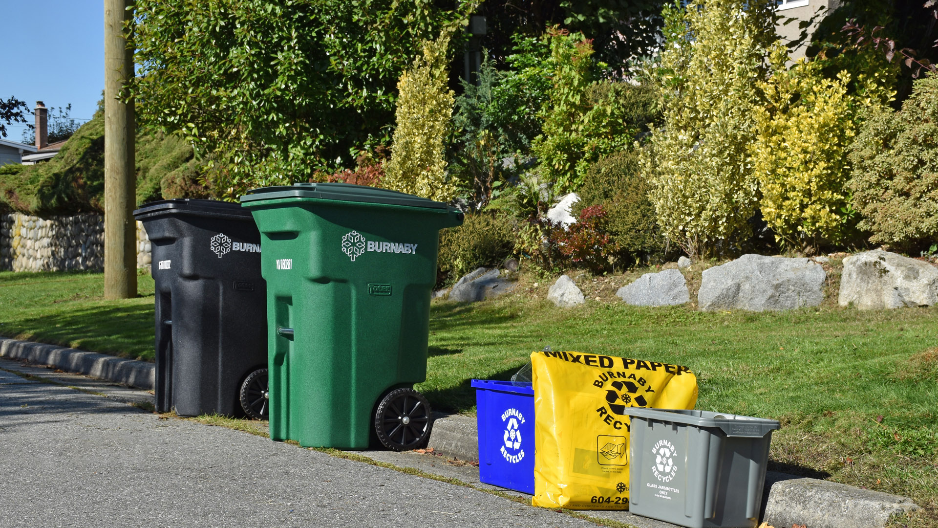 Blue, Green, or Black Bin? The Full Meaning - GarbageDay Blog